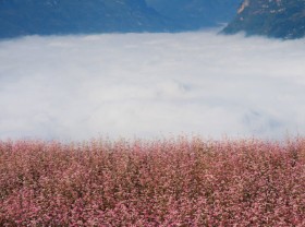 Image: Where to go in December in the country?