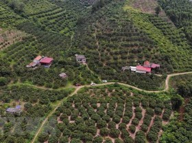 Image: Vietnam set to have 1,600 more farming co-operatives this year