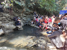 Image: Crowded with thousands of people admiring the “terrible” fish in Thanh Hoa
