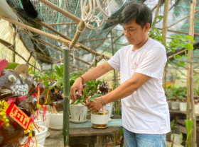 Image: Earn millions per pot of cat-shaped coconut bonsai on the Tet holiday
