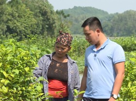 Image: Engineer quits job, gets rich by gathering land to grow purple “strange fruit”