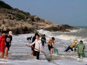 Image: People poured into the sea to collect ‘heavenly fortune’