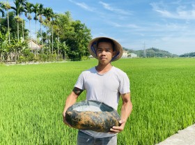 Image: Picking up cobblestones to make this, 8x can earn tens of millions of dong a month
