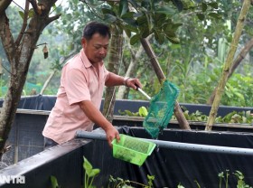 Image: Raising black specialties, and eating all cheap things, the farmer lives well
