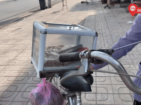 Image: Strange with ice-crusted pork rolls, sold like ice cream in Chau Doc, An Giang