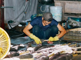Image: The largest grilled snakehead fish oven in Ho Chi Minh City “red on fire all night” to prepare for the day of God of Fortune