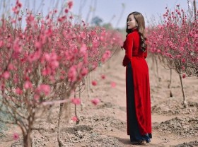 Image: The most beautiful places to take pictures of Ao Dai to welcome Tet for sisters