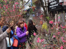 Image: This New Year wants to avoid the cold wind in the North, referring to travel in sunny places all year round