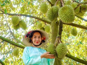 Image: Optimistic prospect for veggie, fruit export as China eases Covid rules