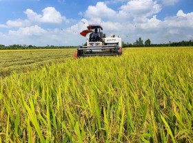 Image: Strategy to develop Mekong Delta region