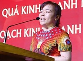 Image: Vimedimex chairwoman prosecuted over land auction irregularities