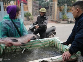 Image: Smoked fish village on Tet holiday