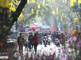 Image: The vibrant flower market meets only once a year