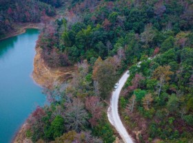 Image: ﻿Foliage season in the border region