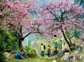 Image: 5 beautiful places in Vietnam in spring: Pack your bags and go so you don’t miss out!