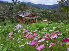 Image: A beautiful 40m wooden house like a fairy among flowers and clouds in Lam Dong