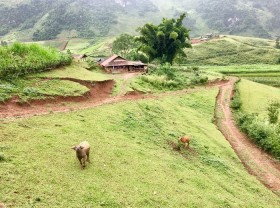 Image: A tour of the wild and peaceful Xa Nhe commune of Tua Chua district, Dien Bien