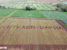 Image: Farmers pay off debts, and build houses by growing clean vegetables