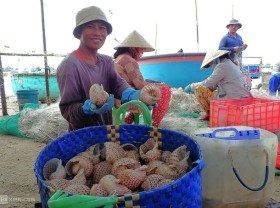 Image: Fisherman hit by sesame snail