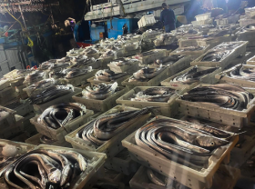 Image: Fishermen won a billion catch in the “open sea” trip at the beginning of the year