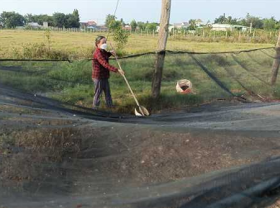 Image: Raising animals “sleeping in the sky”, farmers collect excrement and sell it expensive