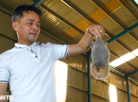 Image: Raising species that sleep day and night, only love vegetables, gently pocket 6 billion VND/year