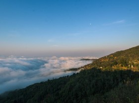 Image: Ta Xua is surprisingly beautiful in the colorful peach blossom season among the sea of ​​​​clouds, the virtual life enthusiasts are excited to go hunting together