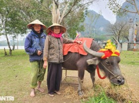 Image: The unique job helps an 80-year-old couple “live well”, without asking their children and grandchildren