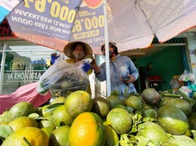 Image: Fruit price fall hits local farmers