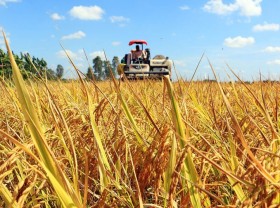 Image: Japanese businesses keen on Mekong Delta