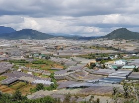 Image: Lam Dong clears 97 hectares of illegal greenhouses, net houses