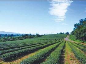 Image: Vietnam’s agriculture needs foreign funding
