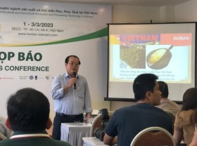 Image: Vietnam’s durian exports to China targeted at US$1 billion this year