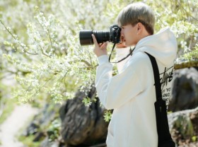 Image: Photographers make a lot of money thanks to the plum blossom season in Moc Chau