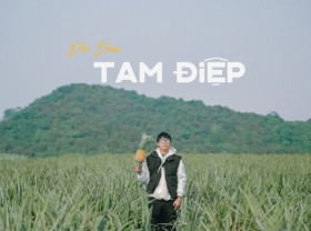 Image: The pineapple season has not yet come, but young people everywhere have invited each other to check in the romantic pineapple hill in Ninh Binh
