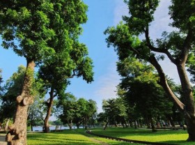 Image: Thong Nhat Park changed its appearance, and Ha Thanh young people flocked to take pictures