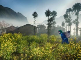 Image: ﻿A day on karst plateau