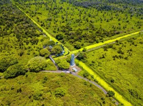 Image: Vo Doi Forest Village – an attractive destination for tourists in Ca Mau to learn the history and admire the natural scenery