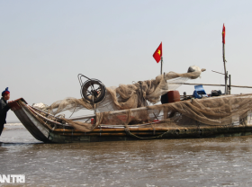 Image: Winning the shrimp sea, fishermen “pocket” millions every day