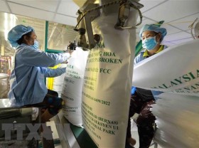 Image: Rice exports down in Jan-Feb
