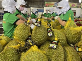 Image: China becomes largest buyer of Vietnamese agro-forestry-fishery products