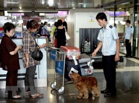 Image: New force formed to fight smuggling by air