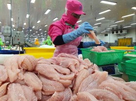 Image: Tra fish export fall forecast to extend