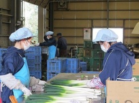 Image: Around 28,400 Vietnamese sent overseas for guest work in Jan-Feb
