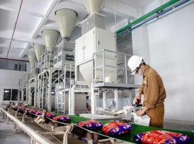 Image: DGC expects profit to halve this year