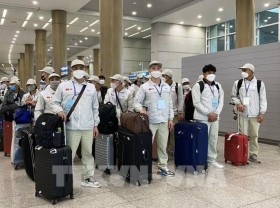 Image: South Korea needs over 12,000 Vietnamese workers