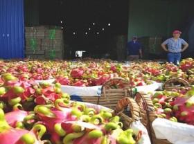 Image: Agri-product shipments through Lao Cai border gate turn tough