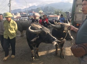 Image: ﻿Flea market in mountainous township