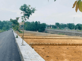 Image: Hanoi: Suddenly suspended the auction of 44 land lots in Dong Anh district
