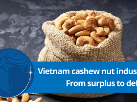 Image: Historical turning point: Vietnam's multi-billion industry shaking